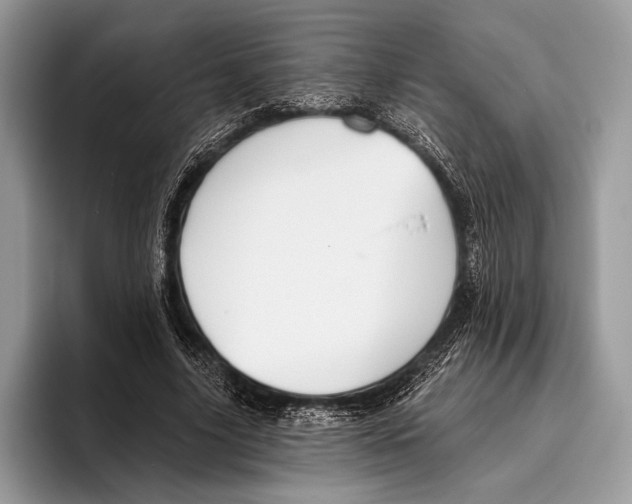 X0000095930635200802011022