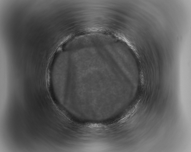 X0000095930637200802011022