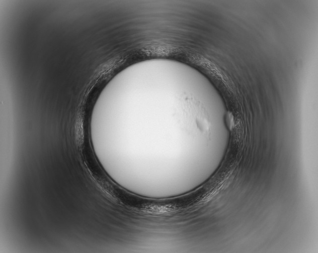 X0000095930638200802011022