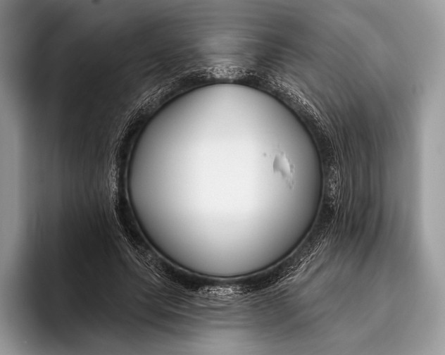 X0000095930639200802011022
