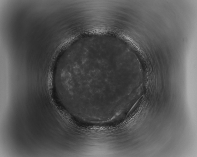 X0000095930640200802011022