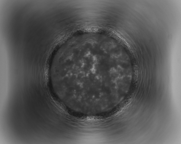 X0000095930641200802011022