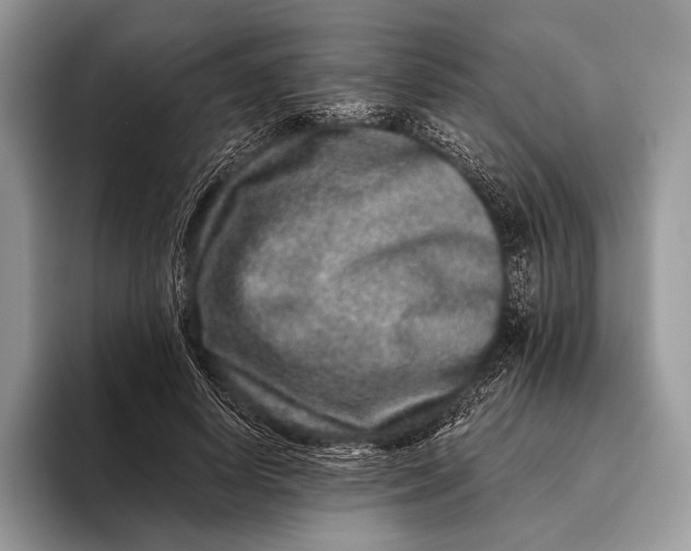 X0000095930642200802011022