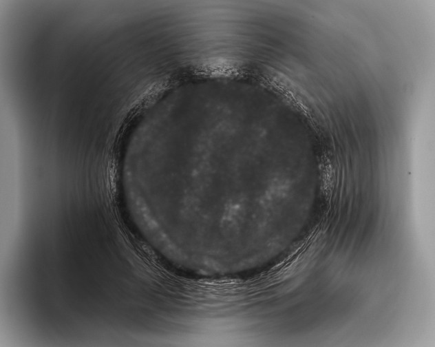 X0000095930643200802011022