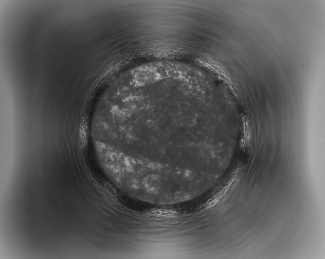 X0000095930644200802011022