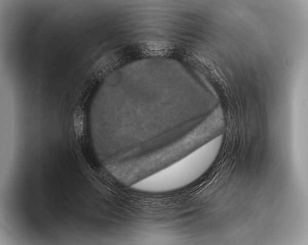 X0000095930647200802011022