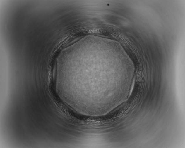X0000095930648200802011022