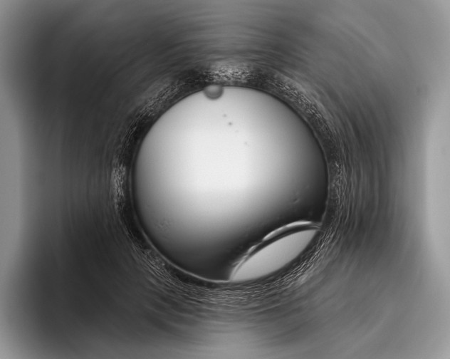 X0000095930649200802011022