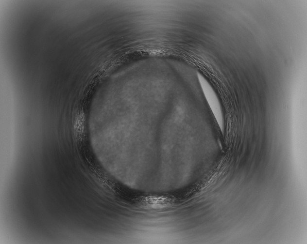 X0000095930650200802011022