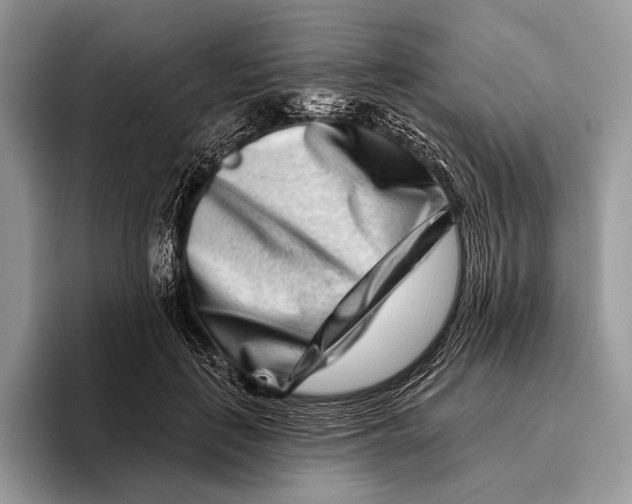 X0000095930651200802011022