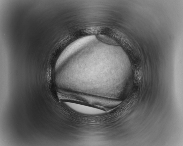 X0000095930652200802011022