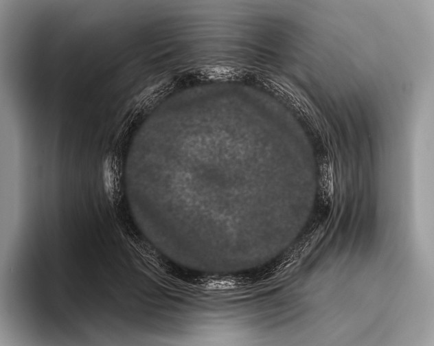 X0000095930653200802011022