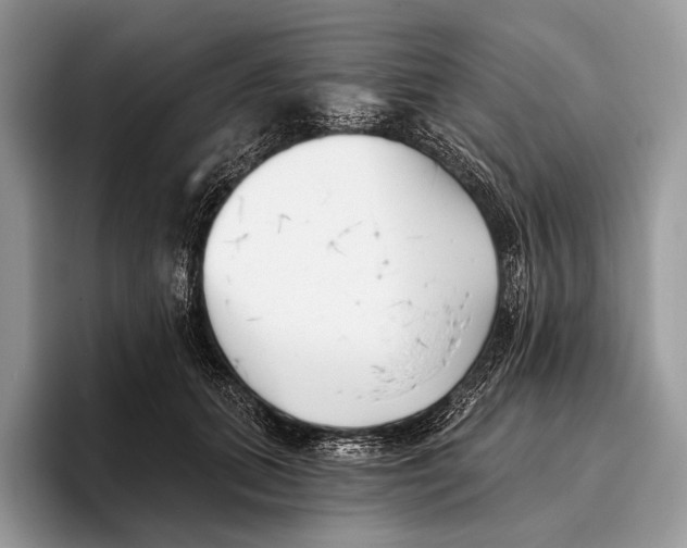 X0000095930655200802011022