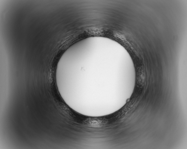 X0000095930658200802011022