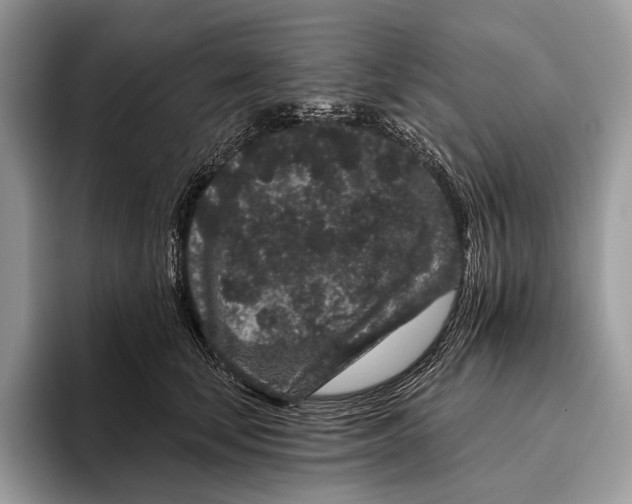 X0000095930659200802011022
