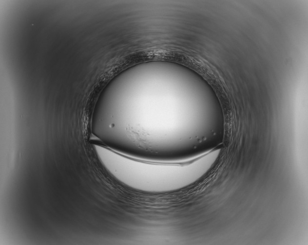 X0000095930660200802011022