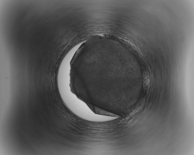X0000095930661200802011022
