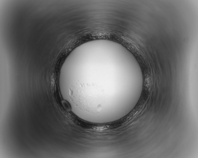 X0000095930662200802011022