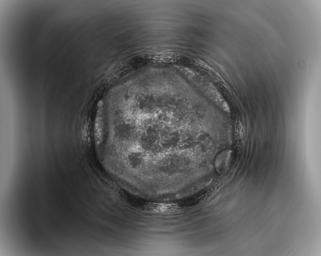 X0000095930663200802011022
