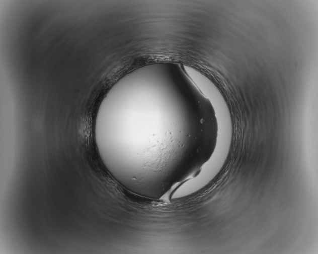 X0000095930665200802011022