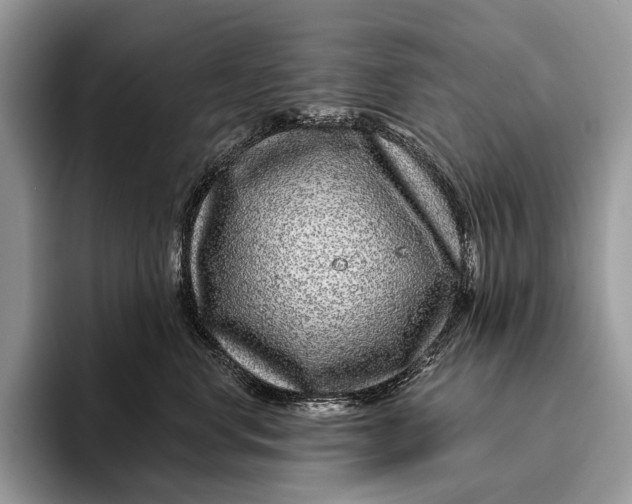 X0000095930668200802011022