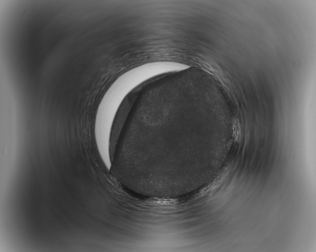 X0000095930670200802011022