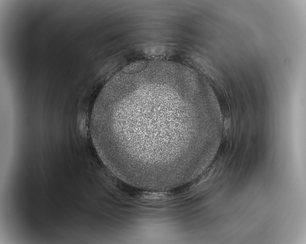 X0000095930671200802011022
