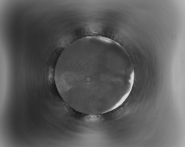 X0000095930672200802011022