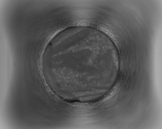 X0000095930673200802011022