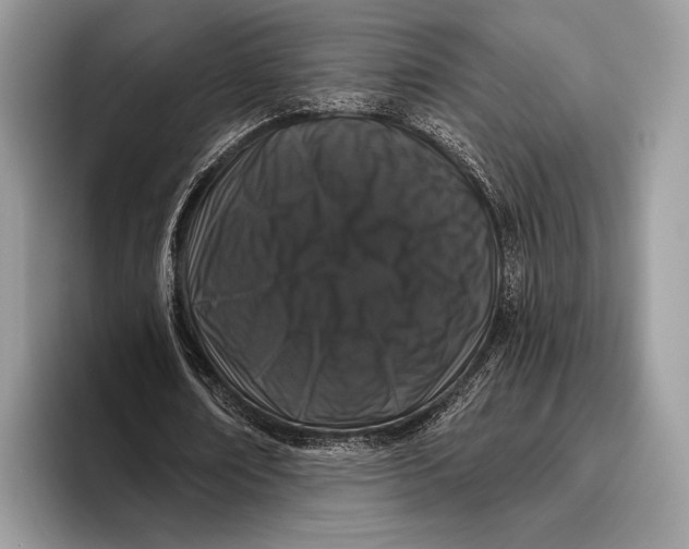 X0000095930674200802011022