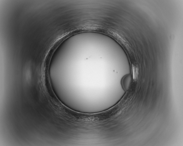 X0000095930675200802011022