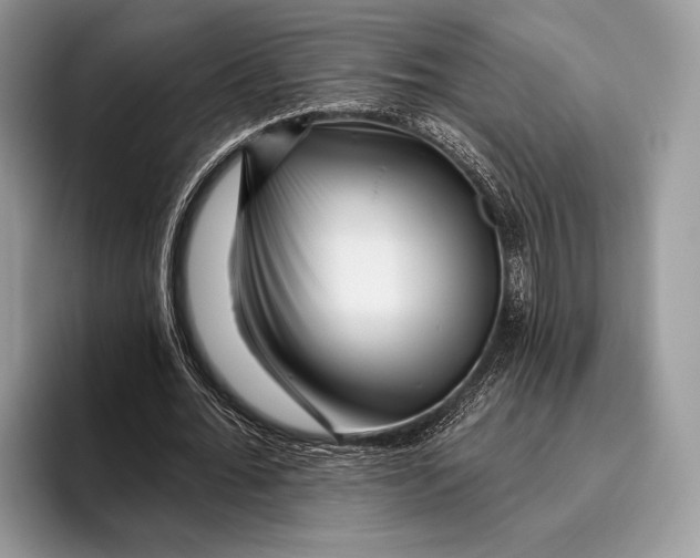 X0000095930676200802011022