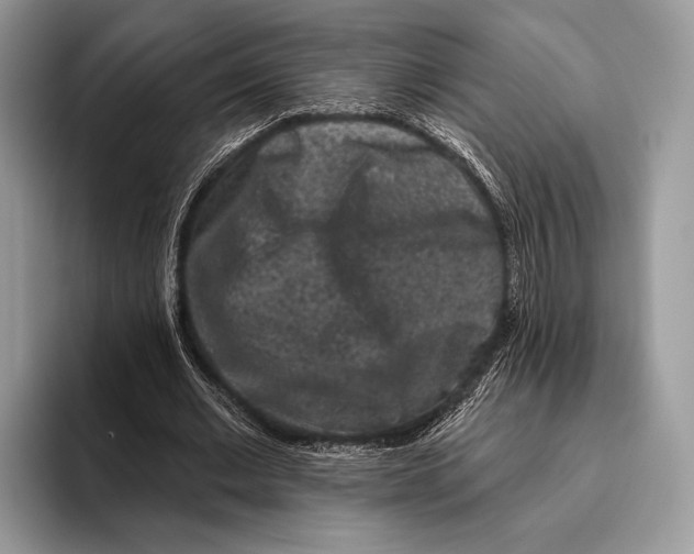 X0000095930677200802011021