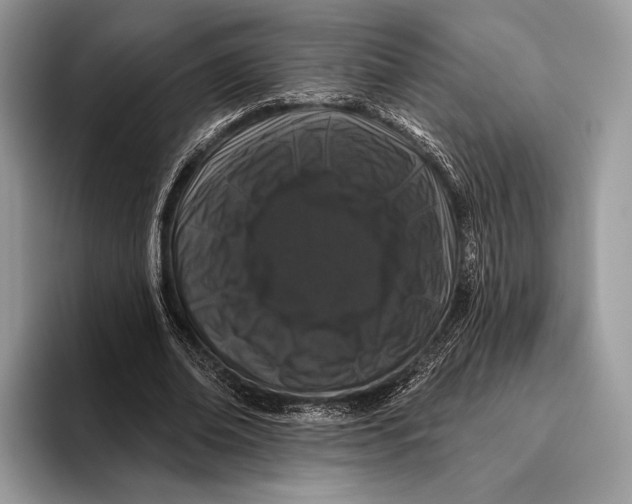 X0000095930678200802011021
