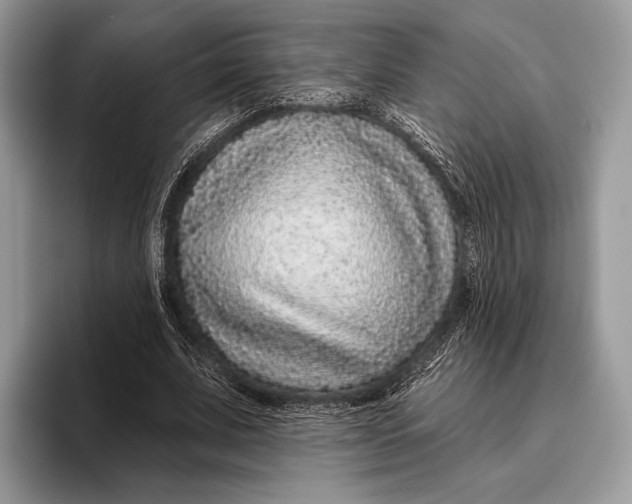 X0000095930679200802011021