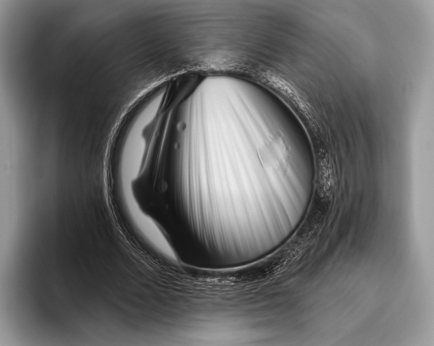 X0000095930680200802011021