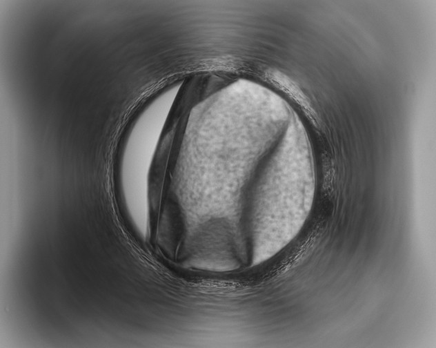 X0000095930681200802011021