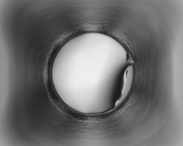 X0000095930682200802011021