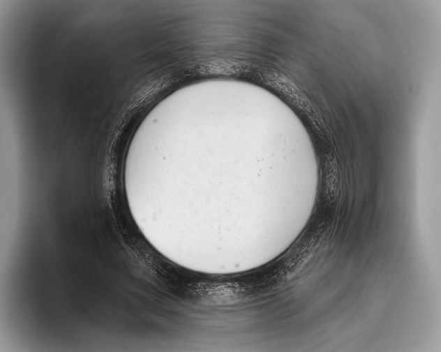 X0000095930683200802011021