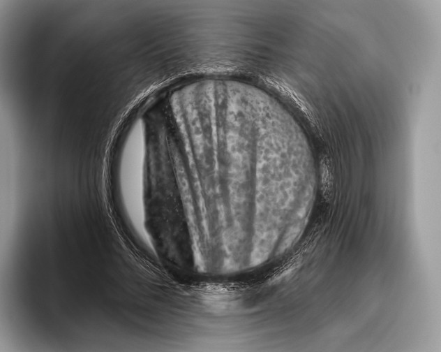 X0000095930684200802011021