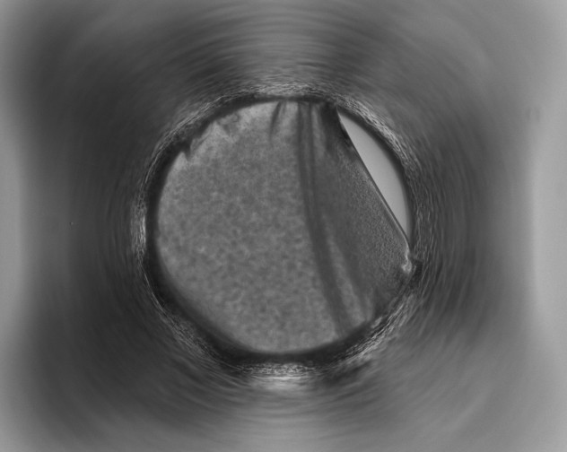 X0000095930685200802011021