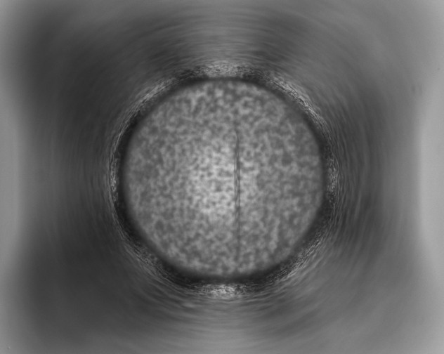 X0000095930687200802011021
