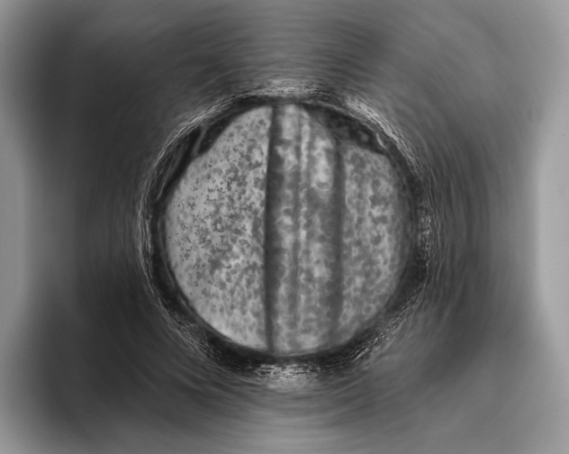 X0000095930688200802011021