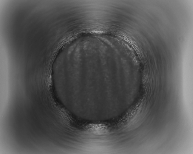 X0000095930689200802011021