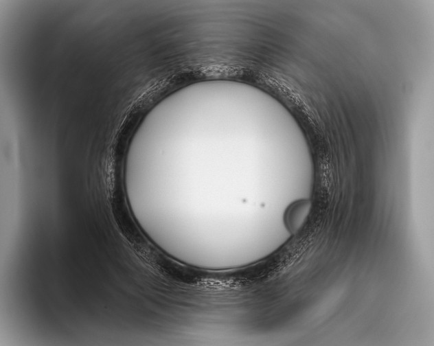 X0000095930690200802011021