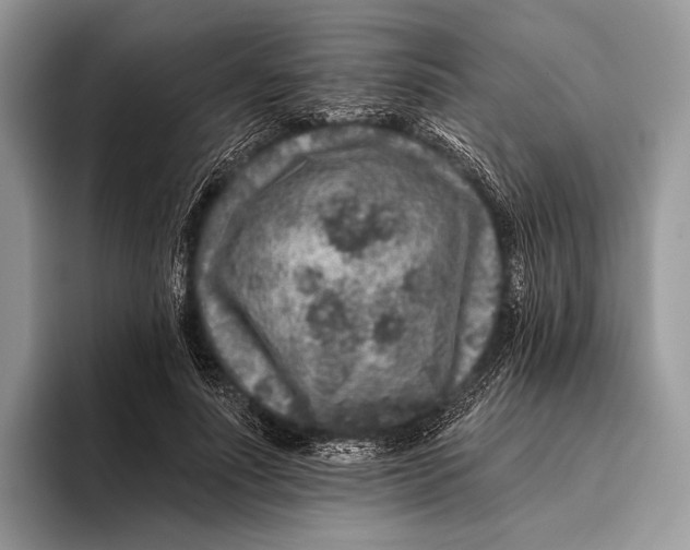 X0000095930691200802011021