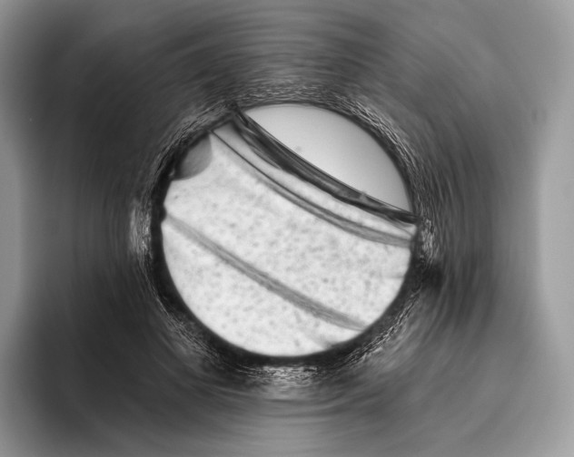 X0000095930693200802011021