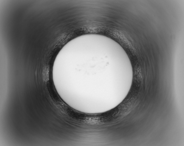 X0000095930694200802011021