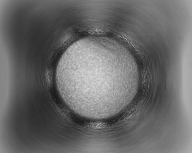 X0000095930695200802011021