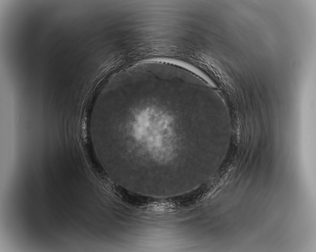 X0000095930696200802011021